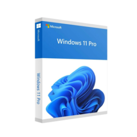 Microsoft Win 11 Pro 64Bit French 1pk DSP OEI DVD